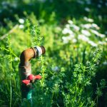 Благоустройство территорий в Тольятти unsplash_319.jpg